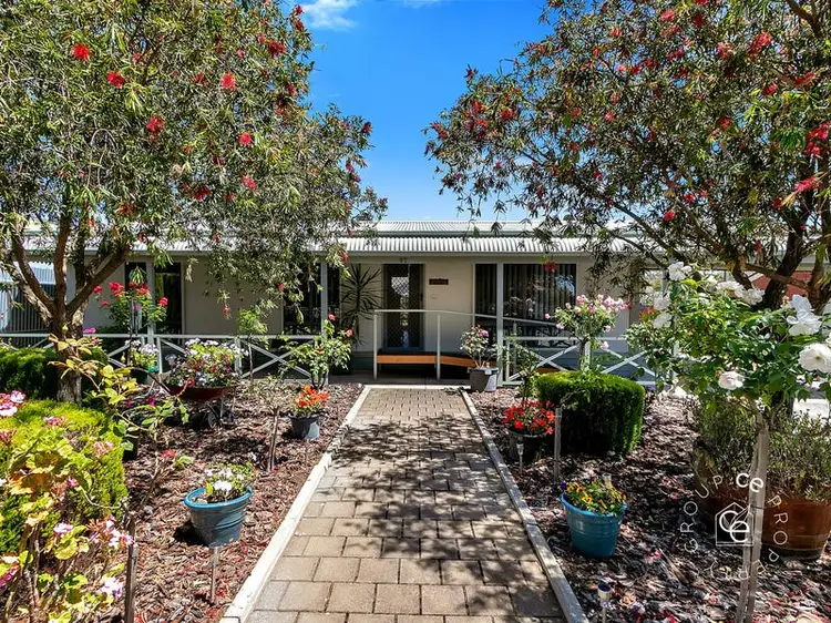 37 Berryman Avenue, Mannum SA 5238