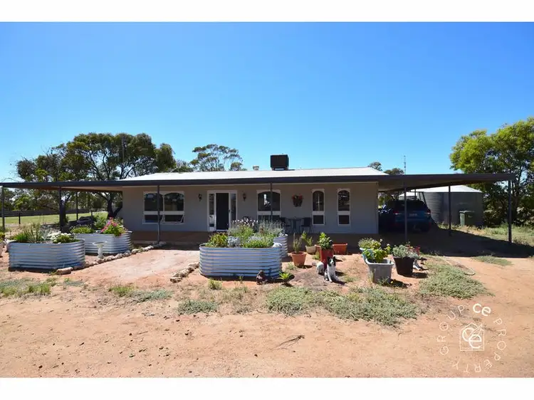 38 Ridley Road, Mannum SA 5238