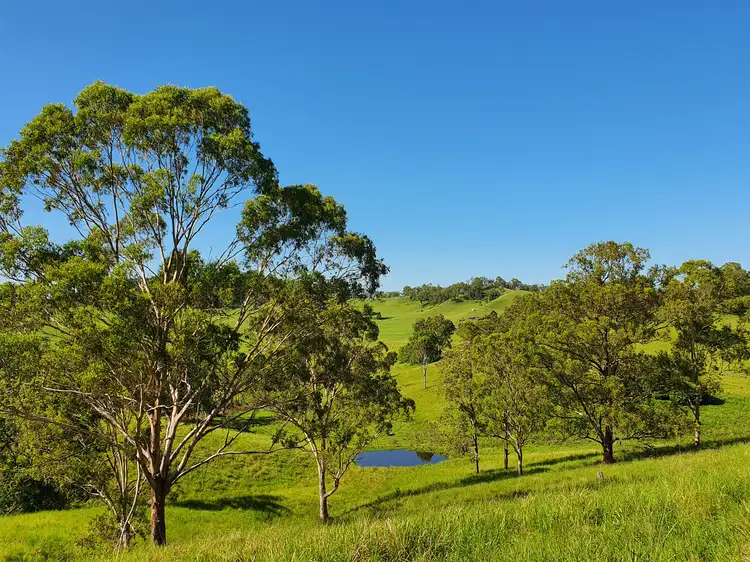 Sixth view of Homely rural property listing, 705 Manifold Road, Bentley NSW 2480