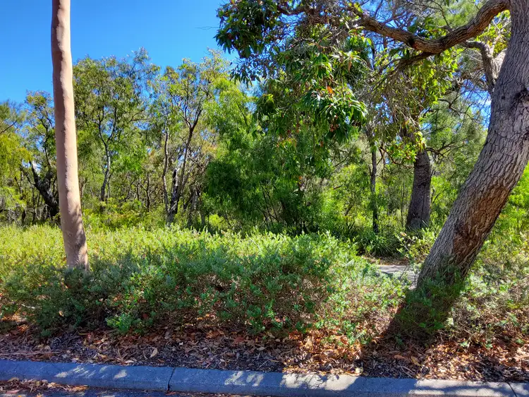 Fifth view of Homely land listing, 9 Karri Street, Walpole WA 6398