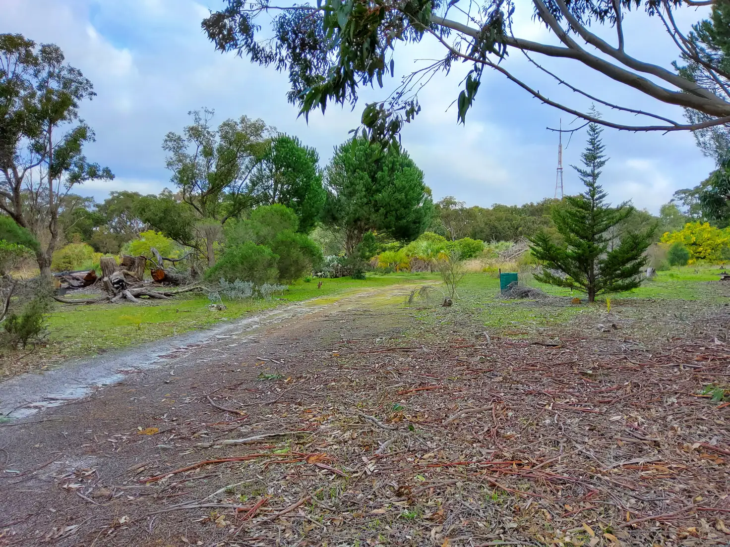 Main view of Homely rural property listing, 300 Mount Barker Road, Mount Barker WA 6324