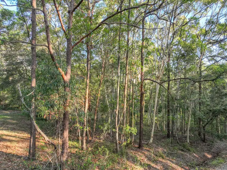 Fifth view of Homely land listing, 2-4 Austral Street, Russell Island QLD 4184