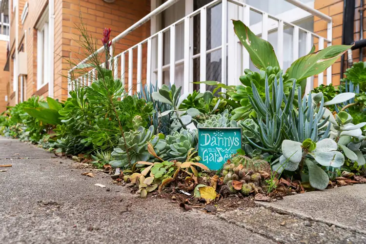 Sixth view of Homely apartment listing, 5/436 Albion Street, Brunswick West VIC 3055