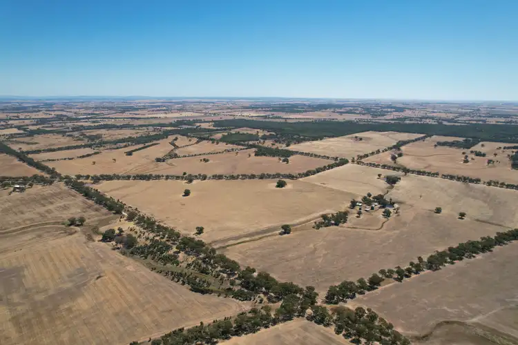 Main view of Homely rural property listing, Galloway Road, Wedderburn VIC 3518