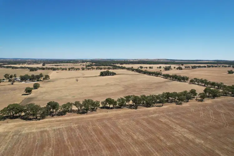 Seventh view of Homely rural property listing, Galloway Road, Wedderburn VIC 3518