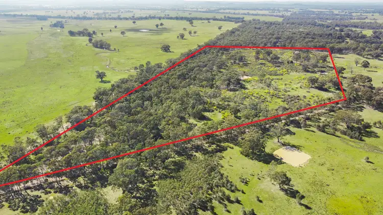 Main view of Homely rural property listing, LOT 2 Rayma Road, Moormbool West VIC 3523