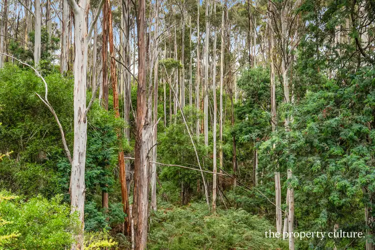 Fifth view of Homely house listing, 18 Mills Road, Lymington TAS 7109