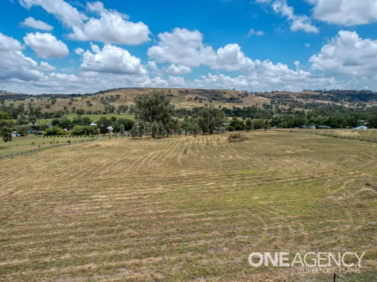 Main view of Homely land listing, 6 Hall Street, Willow Tree NSW 2339