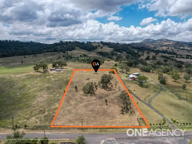 Second view of Homely land listing, 6 Hall Street, Willow Tree NSW 2339