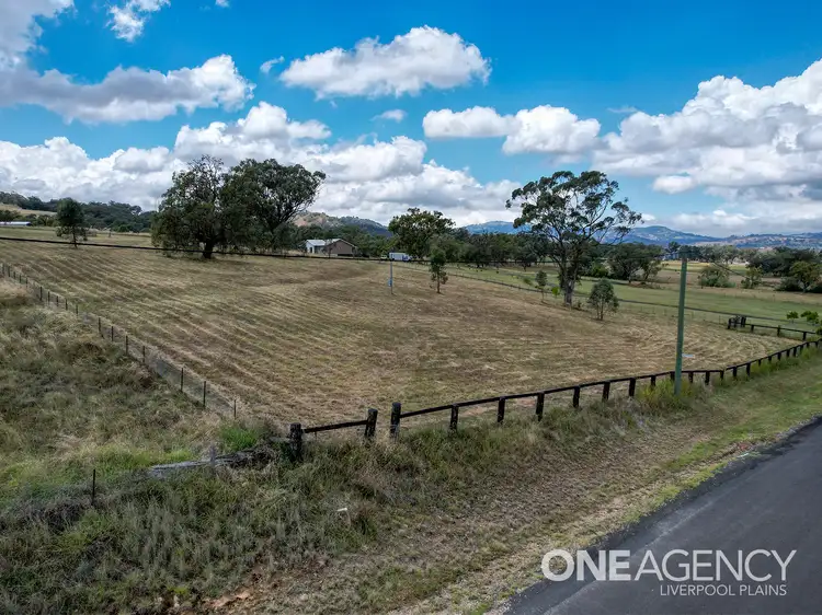 Seventh view of Homely land listing, 6 Hall Street, Willow Tree NSW 2339