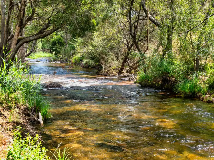 2175 Mt Buller Road, Merrijig VIC 3723