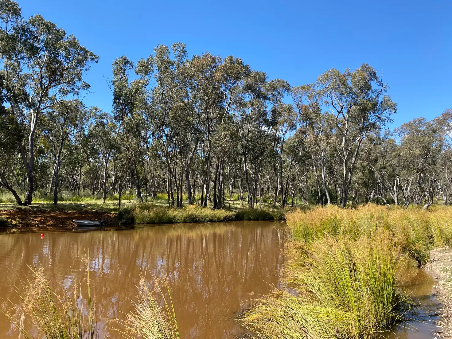 Main view of Homely land listing, 695 Coybil Road, Weetaliba NSW 2395