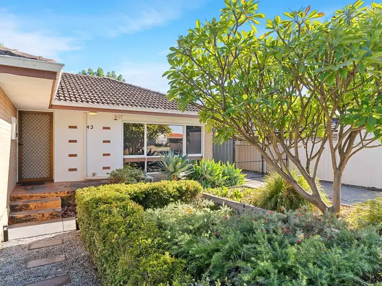 43 Lyndhurst Street, Dianella WA 6059
