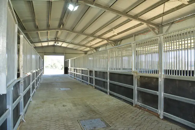 Sixth view of Homely rural property listing, 415 Innisplain Road, Innisplain QLD 4285