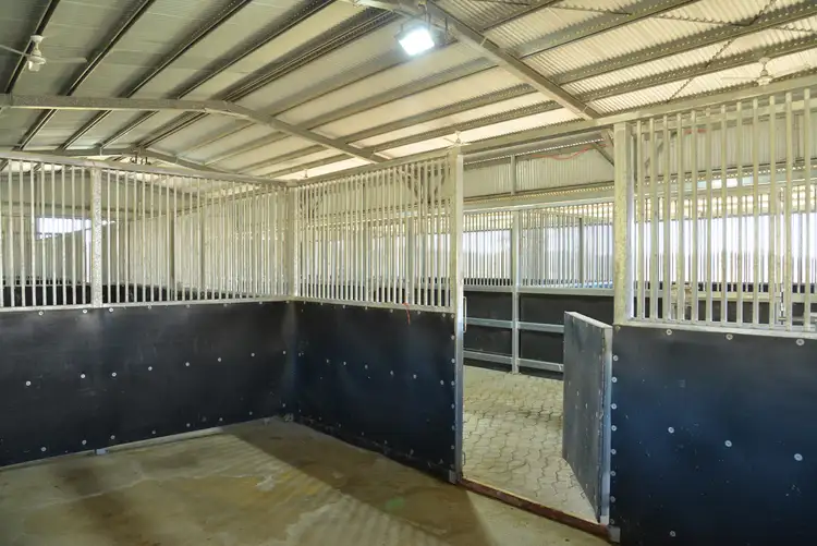 Seventh view of Homely rural property listing, 415 Innisplain Road, Innisplain QLD 4285