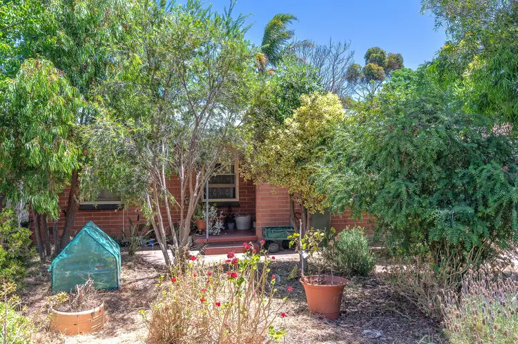 21 Frances Street, Murray Bridge SA 5253