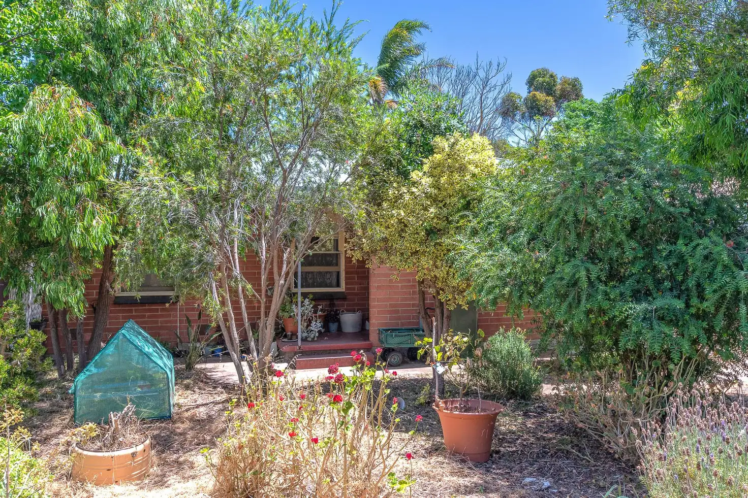 Main view of Homely house listing, 21 Frances Street, Murray Bridge SA 5253