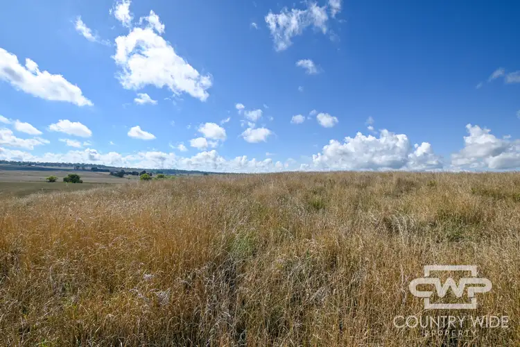 Sixth view of Homely rural property listing, LOT 1 Doolan Road, Glen Innes NSW 2370