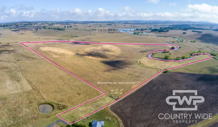 Seventh view of Homely rural property listing, LOT 1 Doolan Road, Glen Innes NSW 2370