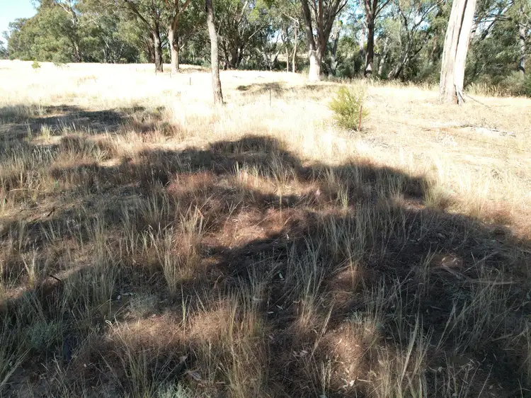 Fourth view of Homely rural property listing, Dunolly-Inglewood Road, Arnold VIC 3551