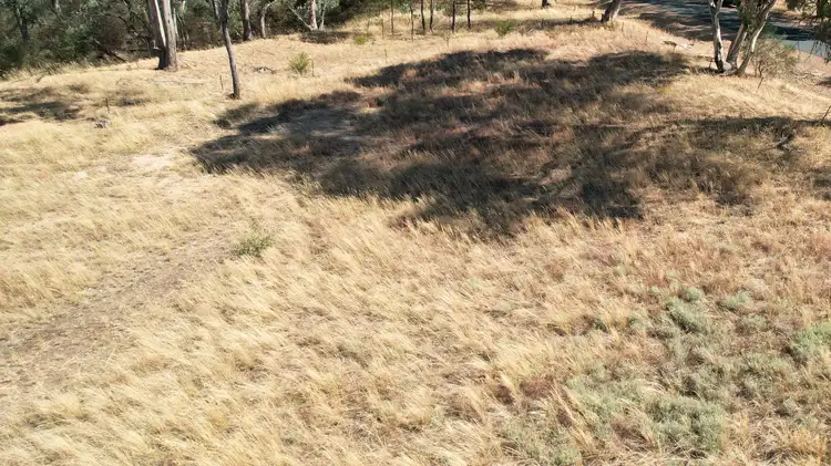 Fifth view of Homely rural property listing, Dunolly-Inglewood Road, Arnold VIC 3551