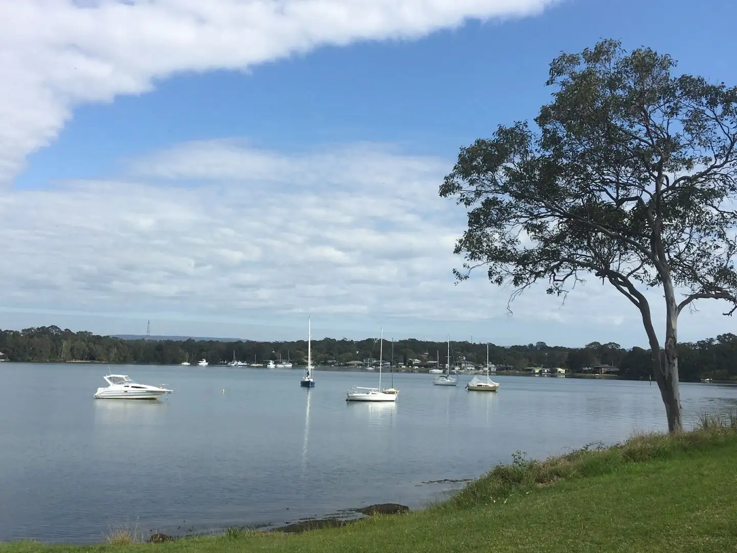 Main view of Homely townhouse listing, . Regent St, Bonnells Bay NSW 2264