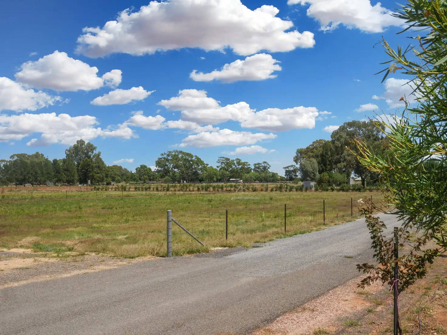 Main view of Homely land listing, 118 Lillypilly Rd, Leeton NSW 2705