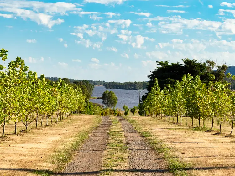 Main view of Homely land listing, LOT 112 Peacheys Lane, Barjarg VIC 3723