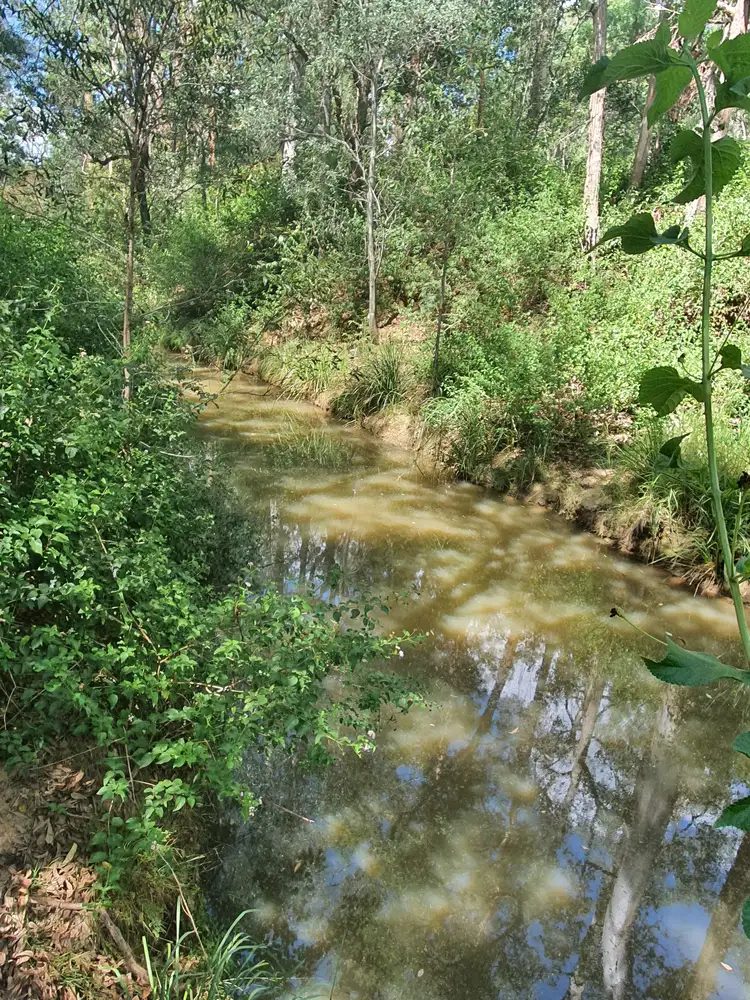 Main view of Homely rural property listing, 274 Franks Road, Taromeo QLD 4314