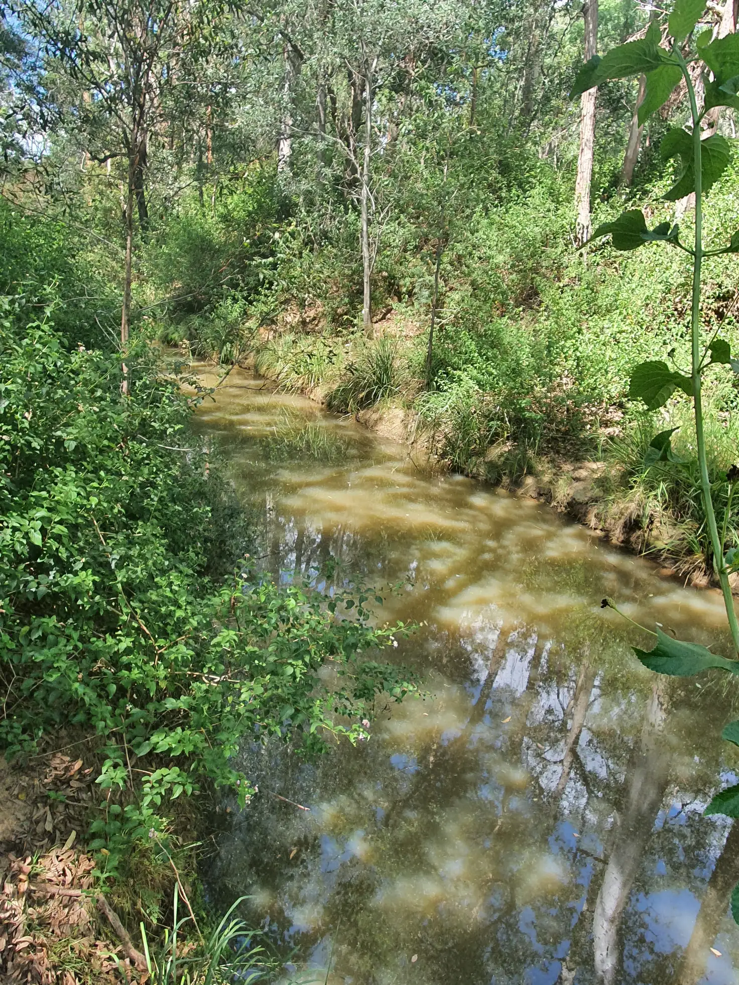 Main view of Homely rural property listing, 274 Franks Road, Taromeo QLD 4314