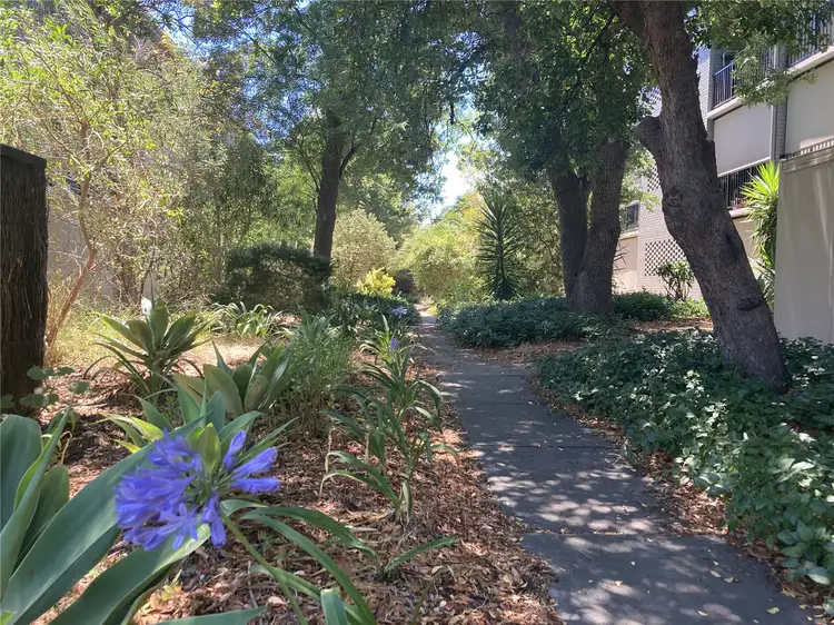 Fifth view of Homely apartment listing, 28/21 South Terrace, Adelaide SA 5000