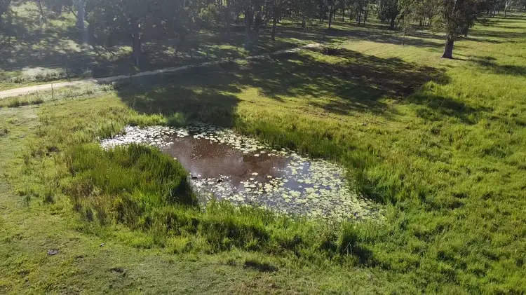Fourth view of Homely rural property listing, 377 Pitches Road, Doubtful Creek NSW 2470