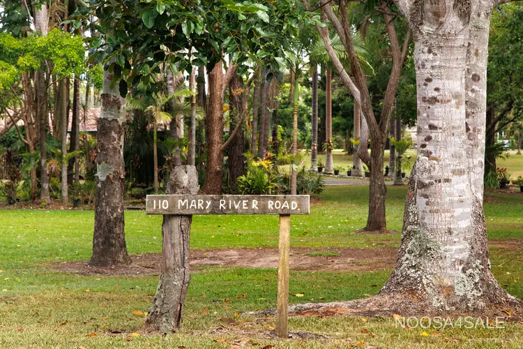 Main view of Homely house listing, 110 Mary River Road, Cooroy QLD 4563