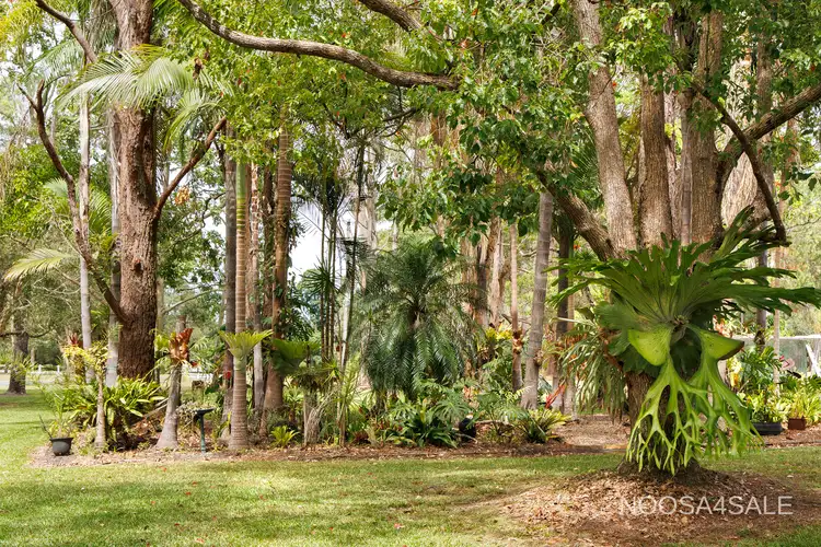 Second view of Homely house listing, 110 Mary River Road, Cooroy QLD 4563