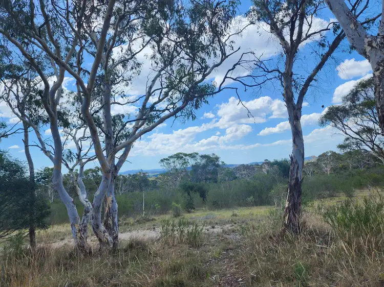 Fifth view of Homely rural property listing, 1/417 Duckfield Road, Boro NSW 2622