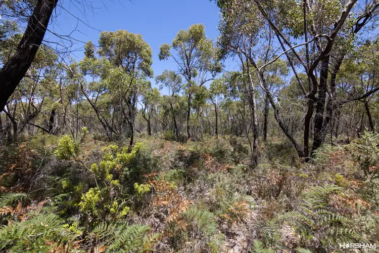 LOT 12 Patricias Road, Edenhope VIC 3318