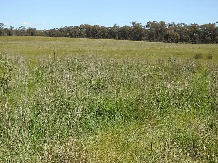 Second view of Homely rural property listing, LOT CA 61, Sec A Paynters Road, Violet Town VIC 3669