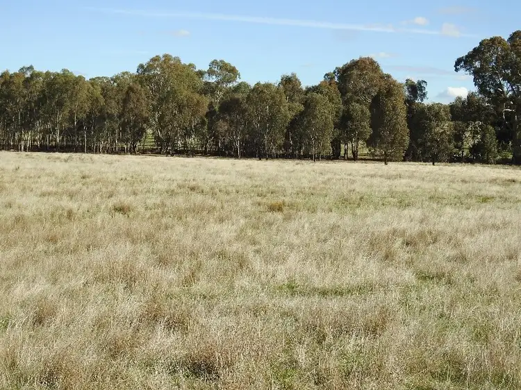 Seventh view of Homely rural property listing, LOT CA 61, Sec A Paynters Road, Violet Town VIC 3669