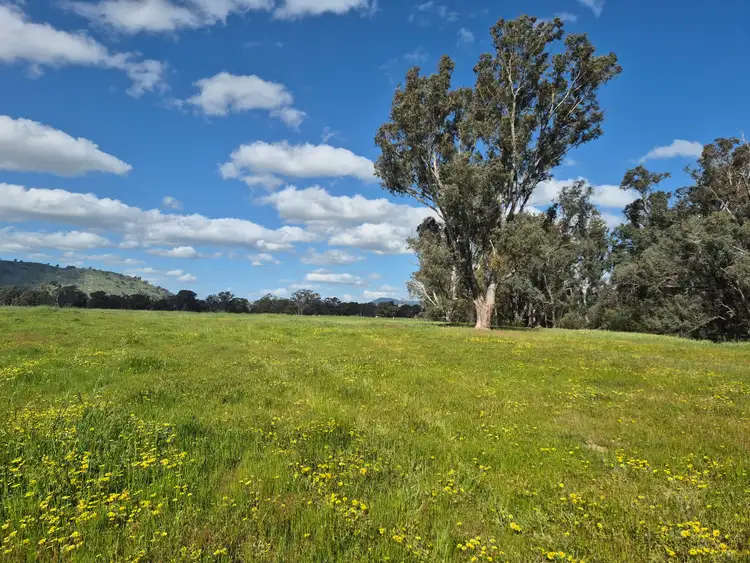 393 Mansfield Road, Euroa VIC 3666