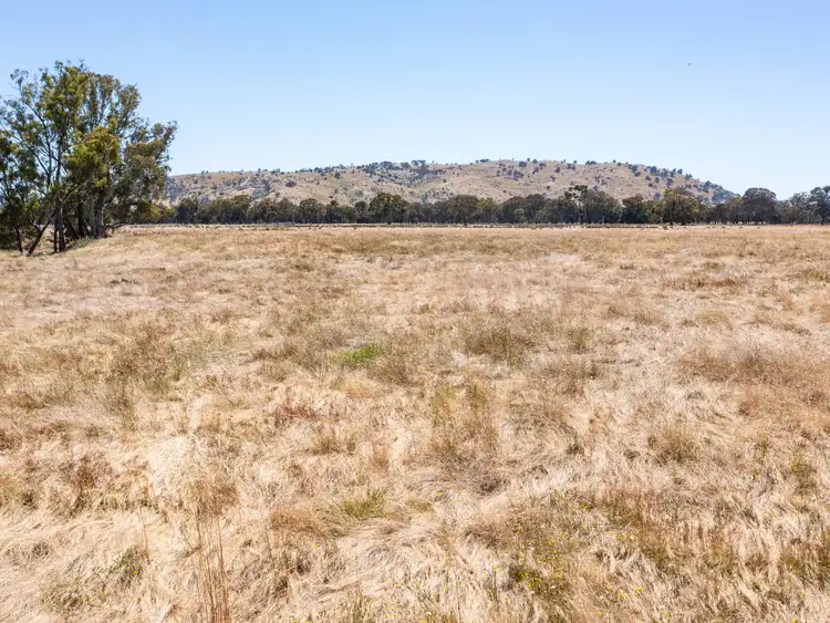 393 Mansfield Road, Euroa VIC 3666