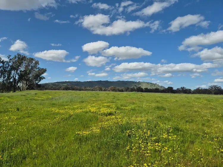 Second view of Homely rural property listing, 393 Mansfield Road, Euroa VIC 3666