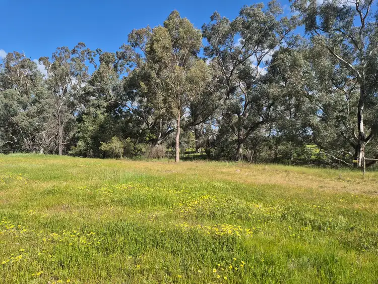 Third view of Homely rural property listing, 393 Mansfield Road, Euroa VIC 3666