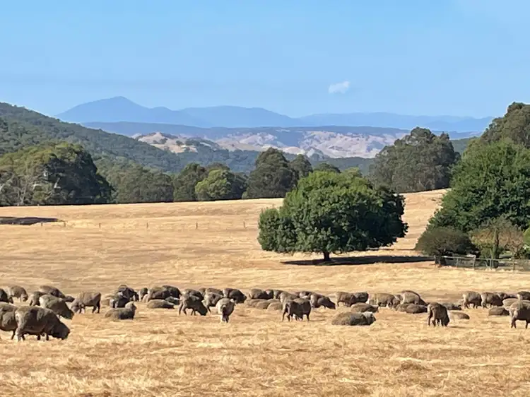 464 Tames Road, Strathbogie VIC 3666