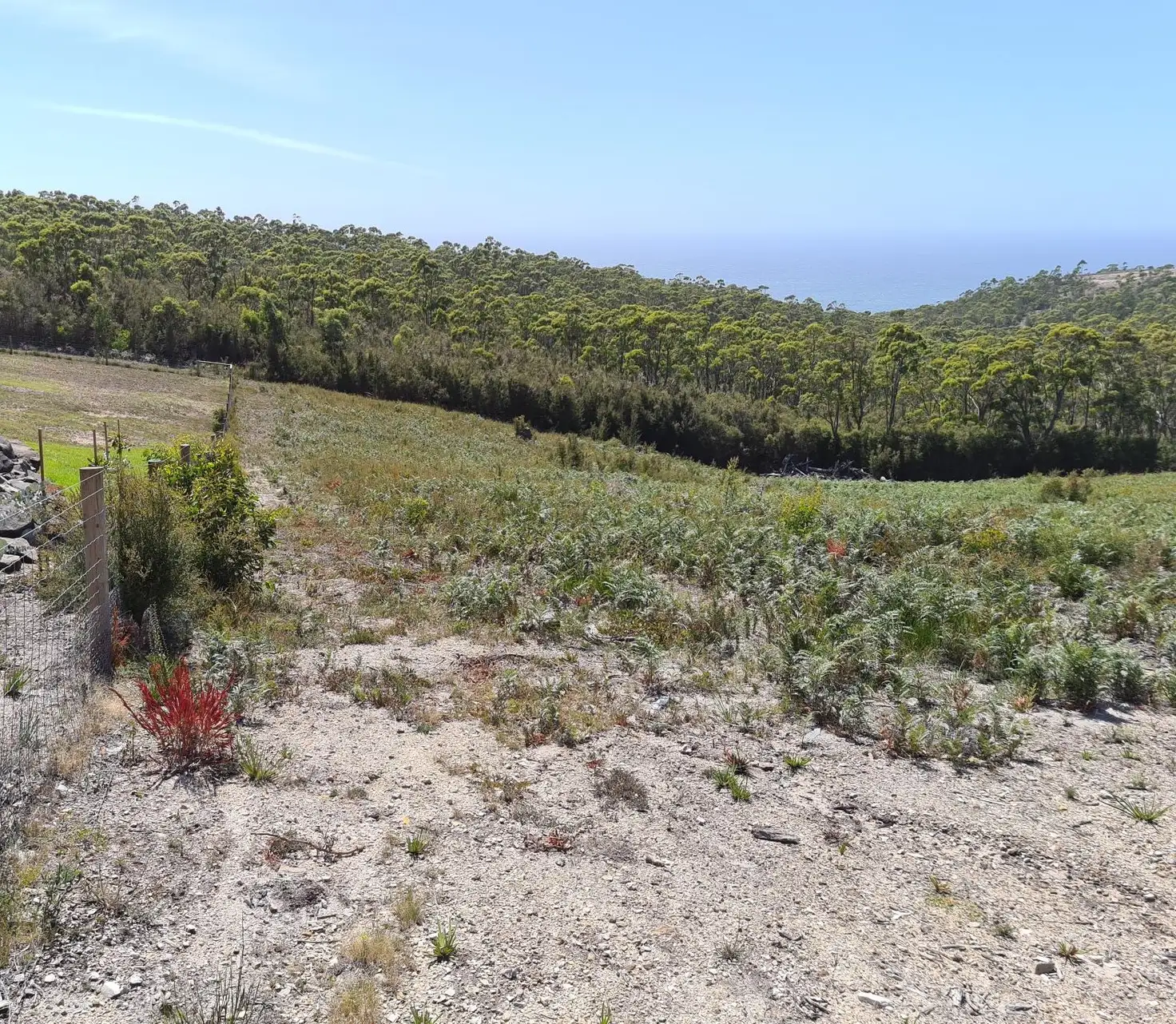 Main view of Homely land listing, 9 Prior Crescent, Heybridge TAS 7316