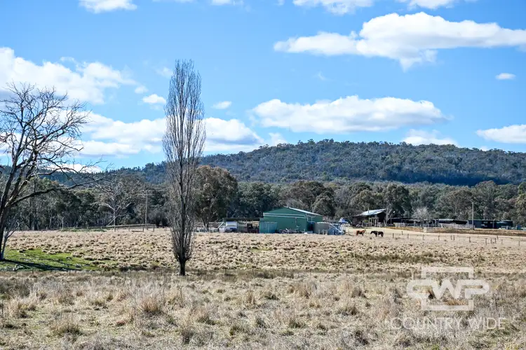 Third view of Homely rural property listing, 961 Polhill Road, Wellingrove NSW 2370