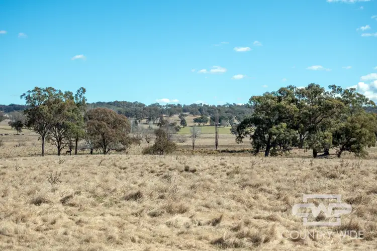 Fourth view of Homely rural property listing, 961 Polhill Road, Wellingrove NSW 2370