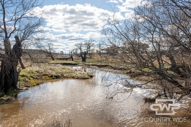 Sixth view of Homely rural property listing, 961 Polhill Road, Wellingrove NSW 2370