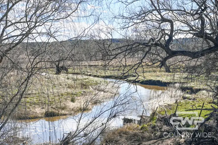 Seventh view of Homely rural property listing, 961 Polhill Road, Wellingrove NSW 2370