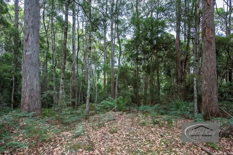 Fourth view of Homely land listing, Lot Ringle Doddy Road, South Forest TAS 7330
