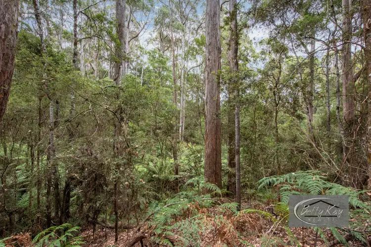 Sixth view of Homely land listing, Lot Ringle Doddy Road, South Forest TAS 7330